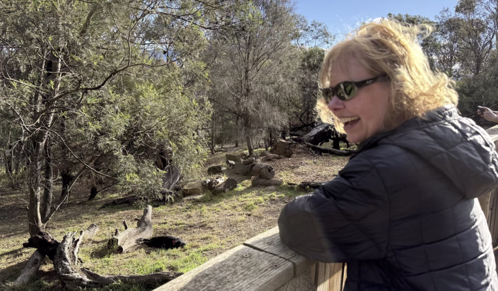 A woman in sunglasses smiles while looking out at a Tasmanian Devil enclosure at Bonorong Wildlife Sanctuary.